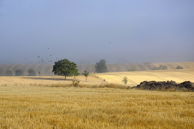 Foto do arquivo: fornecida por 【resultado anteriores da lotofácil da independência】