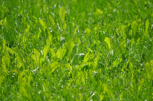 Foto do arquivo: fornecida por 【resultado lotofácil concurso 1405】