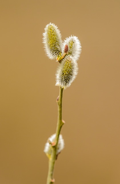 Foto do arquivo: fornecida por 【resultado do concurso da quina 5000】