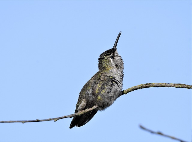 Foto do arquivo: fornecida por 【www betnacional.com】