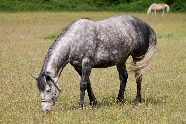 Foto do arquivo: fornecida por 【hhbet.com online】