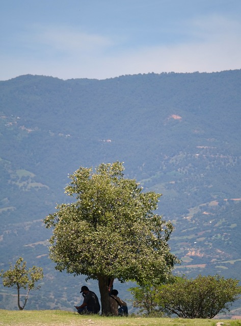 extintores de incêndio