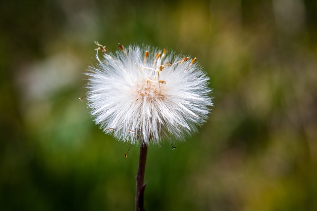 Foto do arquivo: fornecida por 【simpatia para afastar uma pessoa da outra com ovo】