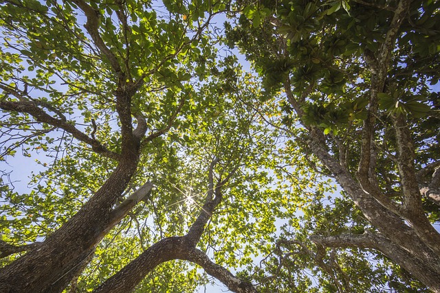 Foto do arquivo: fornecida por 【net365】