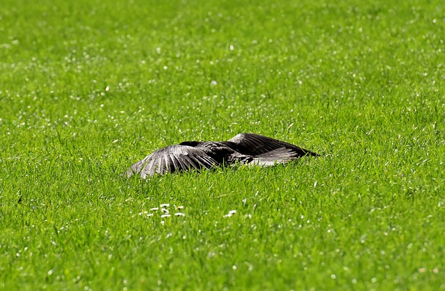 Foto do arquivo: fornecida por 【quanto custa a cartela da lotofácil】