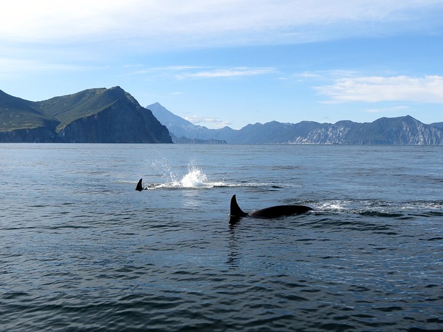 Foto do arquivo: fornecida por 【resultado da mega sena 21 01 23】