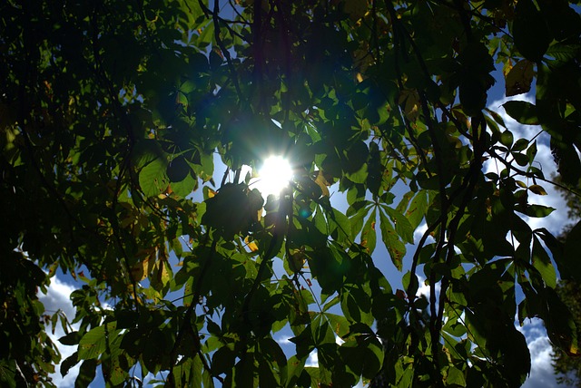 Foto do arquivo: fornecida por 【Passos para faturar $100 reais via pix neste instante】