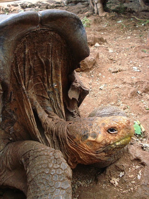 Foto do arquivo: fornecida por 【resultado da quina 01】