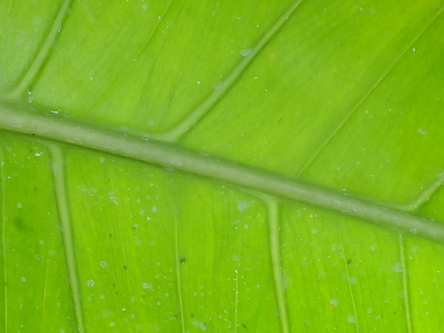 Foto do arquivo: fornecida por 【conta betano】