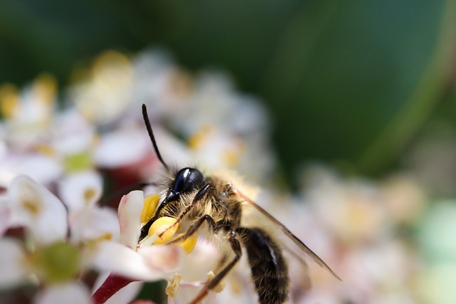 Foto do arquivo: fornecida por 【Resultado completo da disputa de hoje à noite】