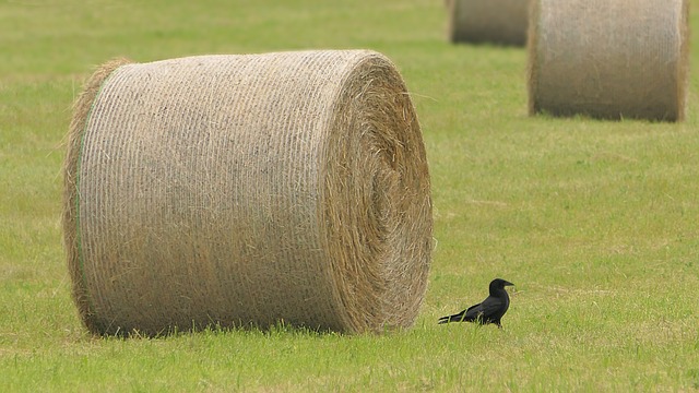 Foto do arquivo: fornecida por 【jogo da lotofácil online】