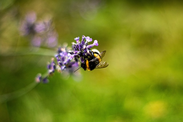 Foto do arquivo: fornecida por 【6655 bet】