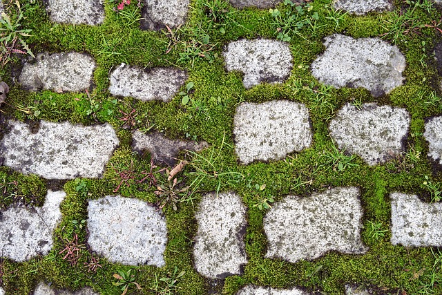 Foto do arquivo: fornecida por 【Cadastre-se e tenha acesso a bônus sem depósito inicial】