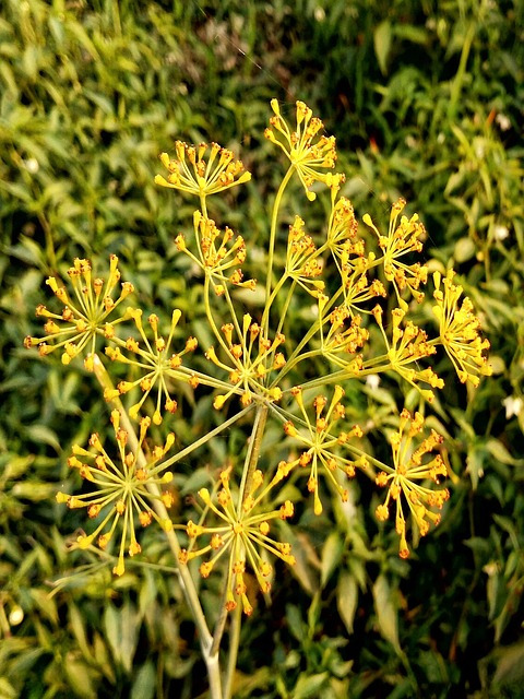 Foto do arquivo: fornecida por 【cassino hotel amambay】