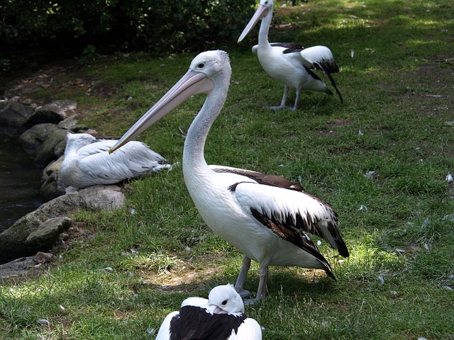 Foto do arquivo: fornecida por 【resultado da quina do dia 17 de julho】