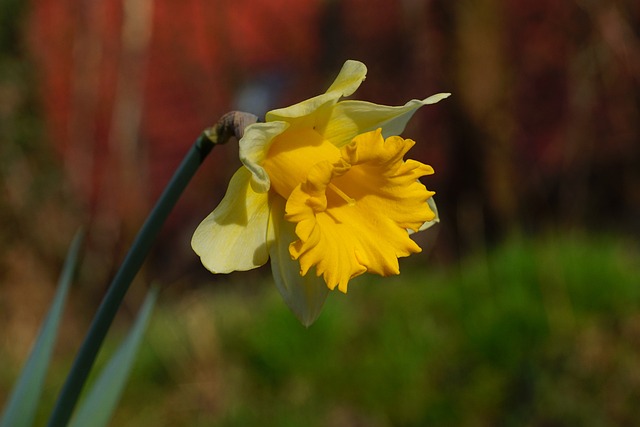 loterias quina