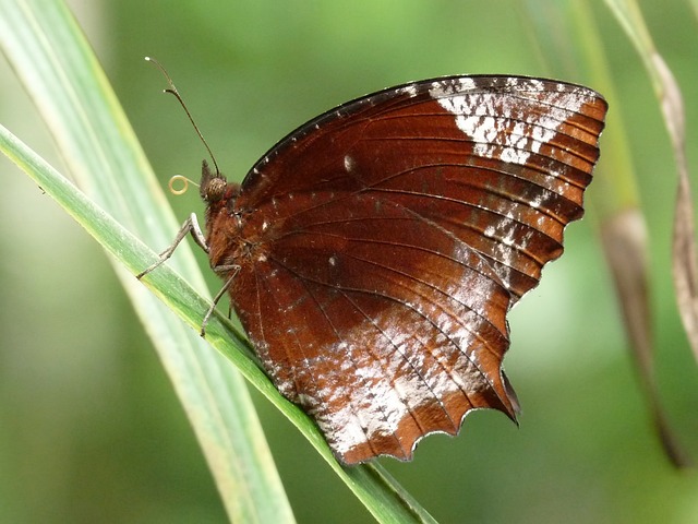 loteria federal 04 09 21