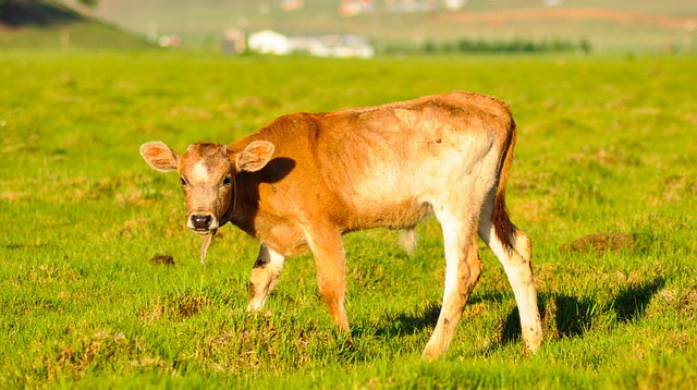 Foto do arquivo: fornecida por 【quem é o dono da aposta ganha】