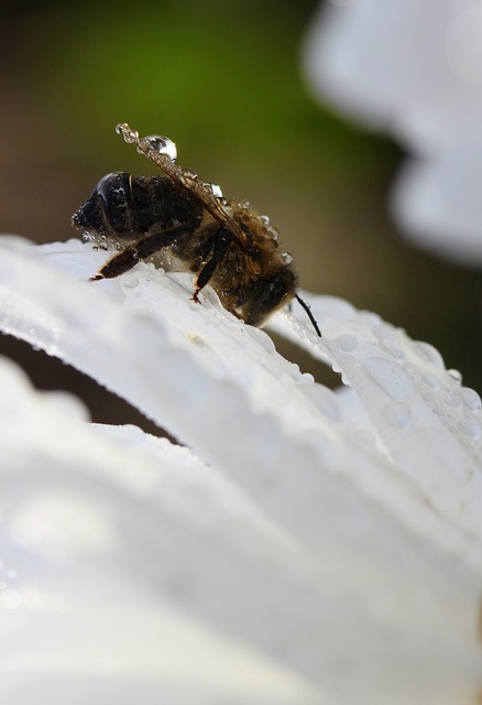 Foto do arquivo: fornecida por 【aposta bet】