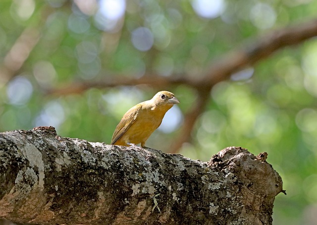 Foto do arquivo: fornecida por 【gober368】