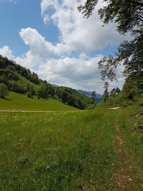 creperia e panquecaria do cassino