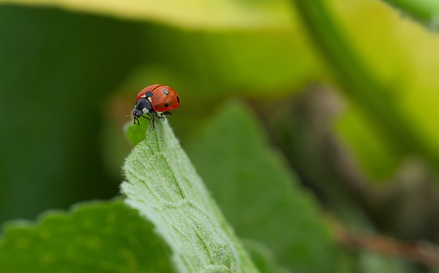 Foto do arquivo: fornecida por 【lottery ticket sales】