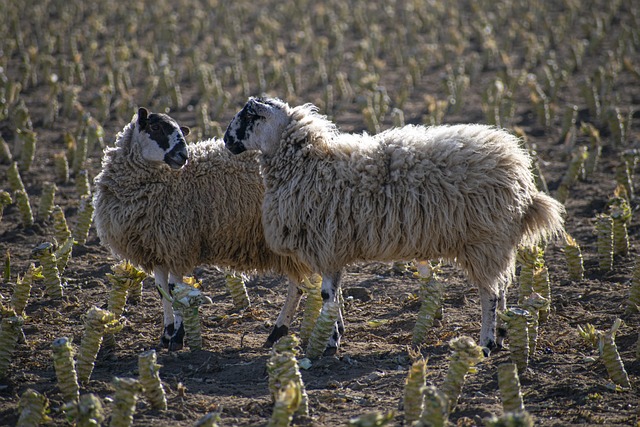 Foto do arquivo: fornecida por 【Sistema novo recompensando cadastro no cassino】