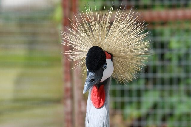 Foto do arquivo: fornecida por 【picky eater bingo】