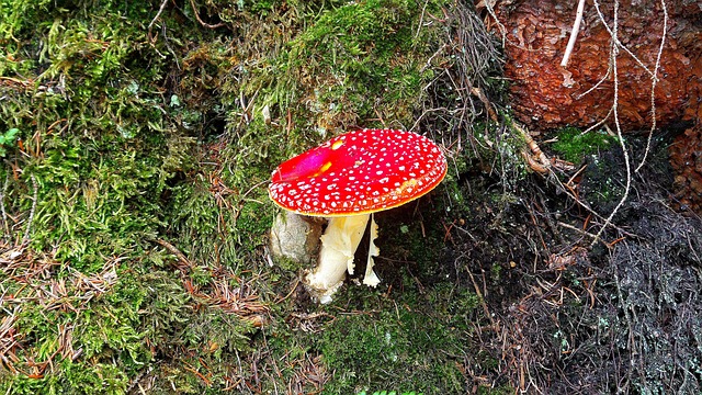 jogo de banheiro de crochê passo a passo