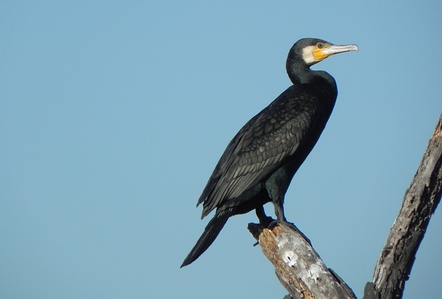 Foto do arquivo: fornecida por 【resultado quina 5610】