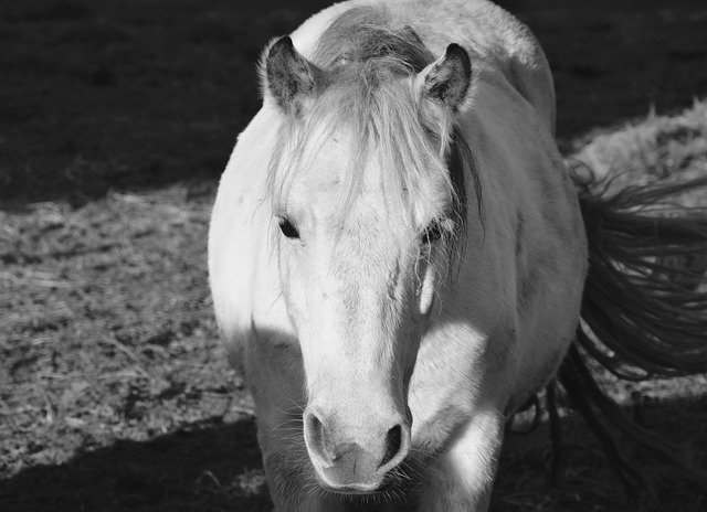 Foto do arquivo: fornecida por 【concurso lotofácil 1358】