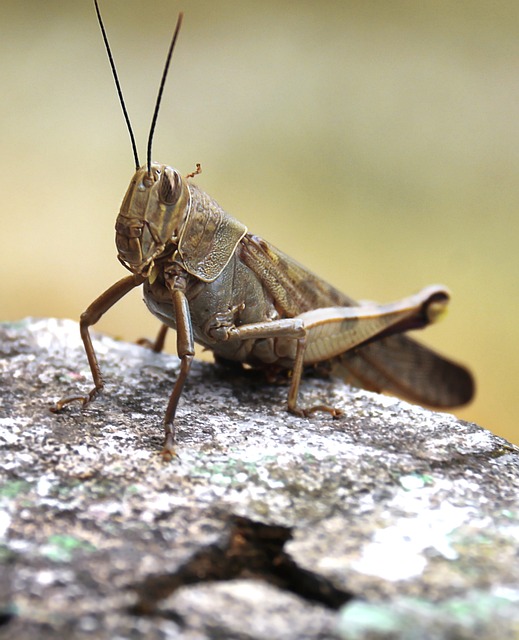 Foto do arquivo: fornecida por 【hotéis pousadas cassino rs】