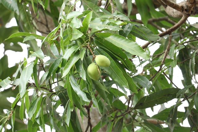 Foto do arquivo: fornecida por 【aplicativos para ganhar dinheiro】