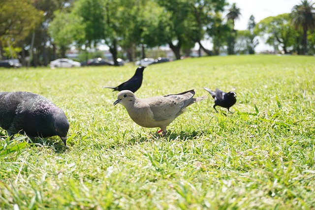 Foto do arquivo: fornecida por 【como cancelar um pix】