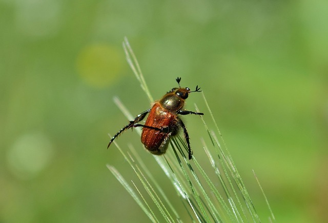 Foto do arquivo: fornecida por 【concurso da lotofácil 1693】