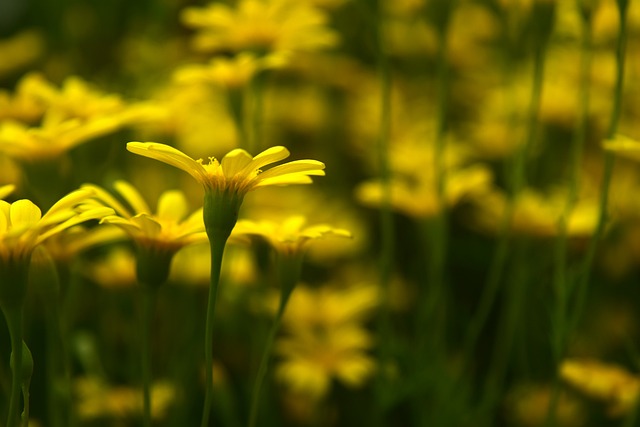 Foto do arquivo: fornecida por 【concurso da mega sena 1789】