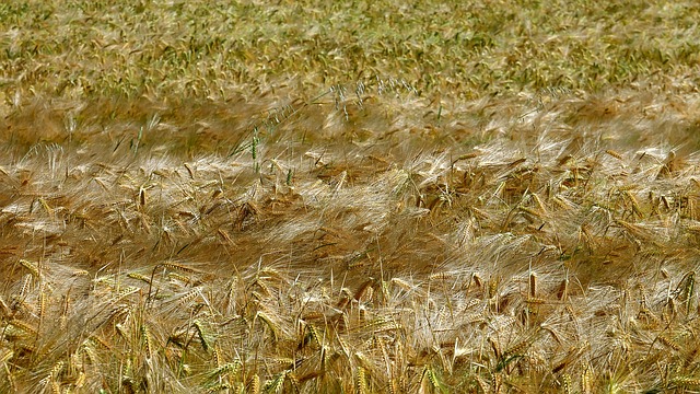 Foto do arquivo: fornecida por 【MERIDIANBET】