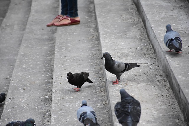 Foto do arquivo: fornecida por 【resultado da lotofácil 2453】