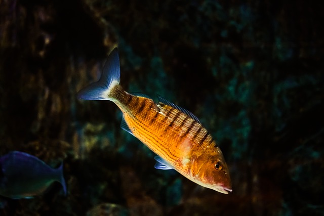 Foto do arquivo: fornecida por 【Plataforma de pagamentos rápidos Tigre】