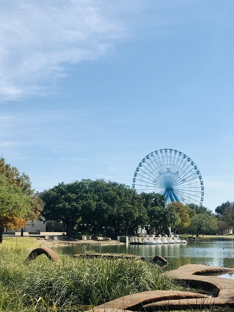 the wynn