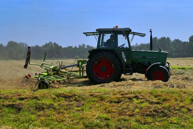 Foto do arquivo: fornecida por 【wind creek】