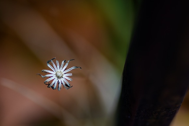 Foto do arquivo: fornecida por 【como mudar a senha da blaze】