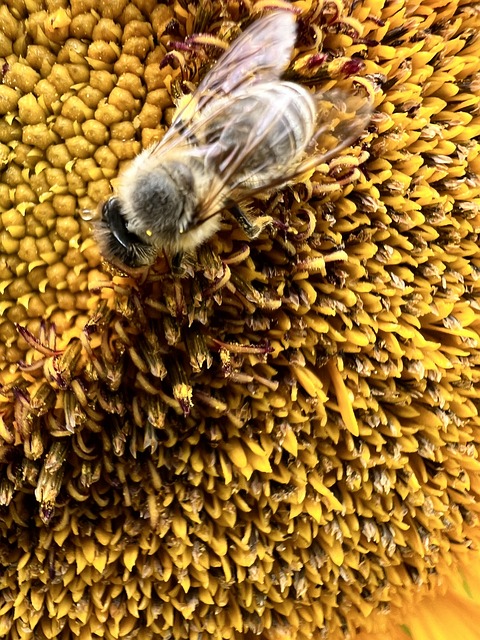 Foto do arquivo: fornecida por 【palpite da sônia jogo do bicho】