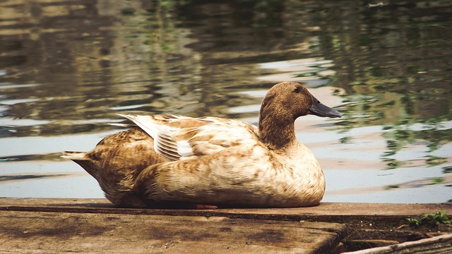 Foto do arquivo: fornecida por 【.bet】