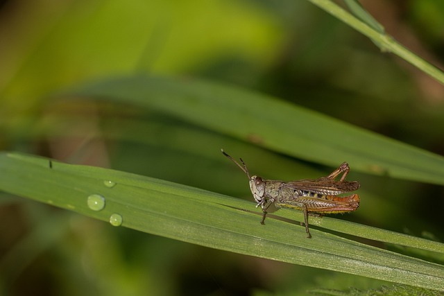 Foto do arquivo: fornecida por 【apostas】