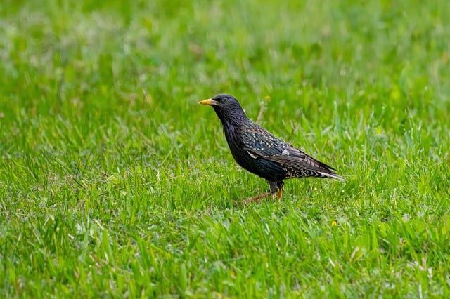 Foto do arquivo: fornecida por 【cadoola】