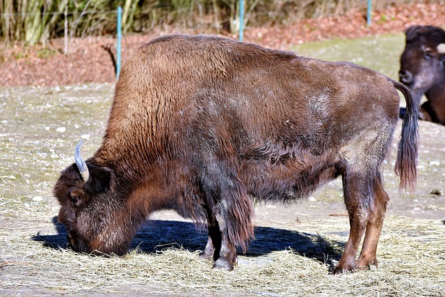 Foto do arquivo: fornecida por 【7GAMES】