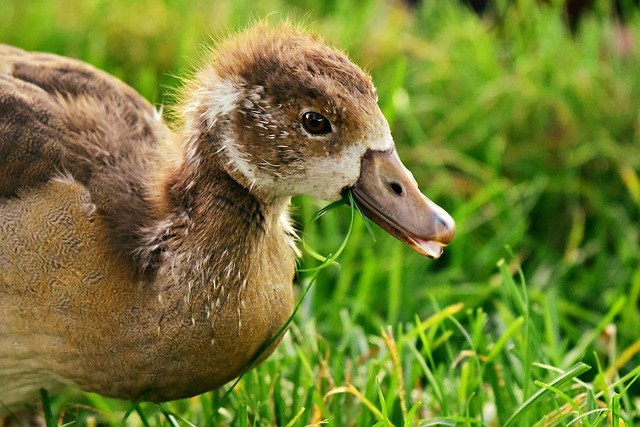 Foto do arquivo: fornecida por 【Resultado da Lotofácil sorteado hoje】