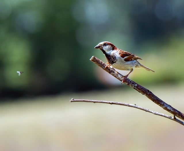 Foto do arquivo: fornecida por 【resultado da lotofácil do dia 03 01 2023】