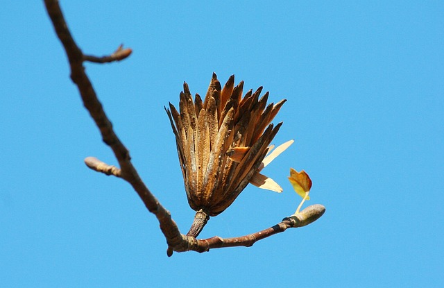 Foto do arquivo: fornecida por 【resultado da mega sena sorteio de quarta feira】